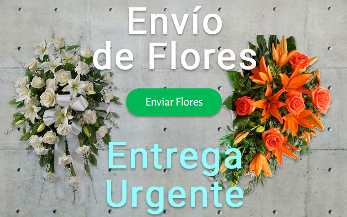 Envio flores difunto urgente a Tanatorio Granada